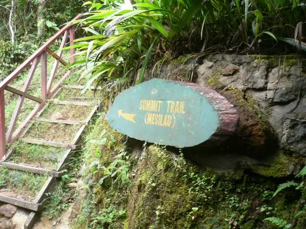 Mesilau Trail 起點