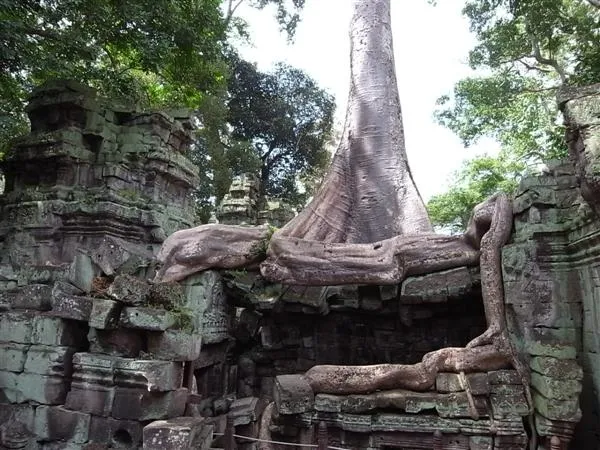 Ta Prohm