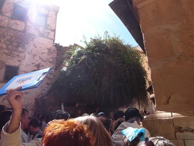 疑似 The burning bush 所在地