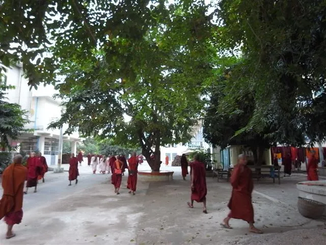 Ma Soe Yein Nu Kyaung