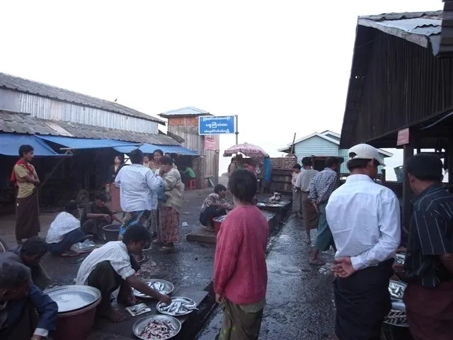 Fish Market