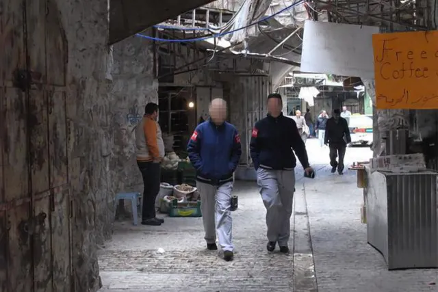 International Observers