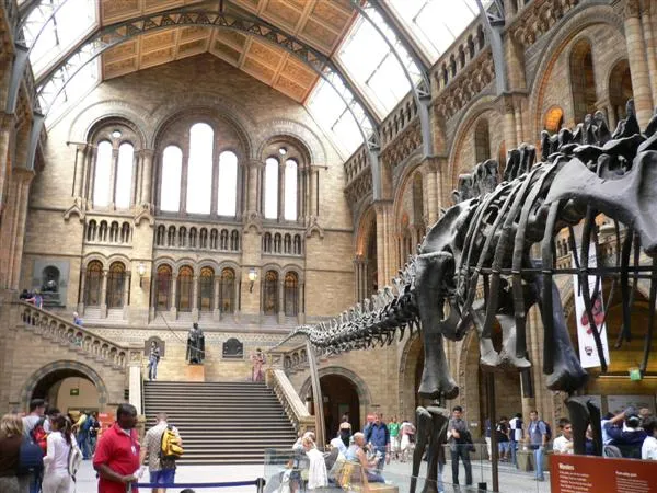Natural History Museum